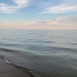 Meet your Posher, Savannah